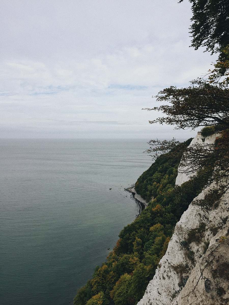 outdoors body of water beside trees during daytime cliff