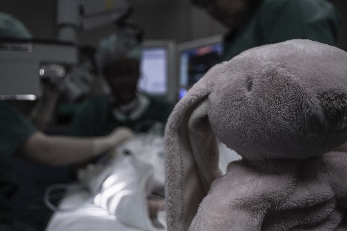 grey gray elephant plush toy queen fabiola children's university hospital