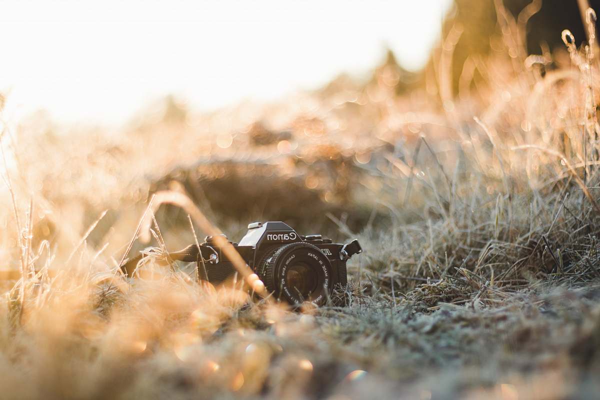 photo Canon DSLR camera on top of green grass photography