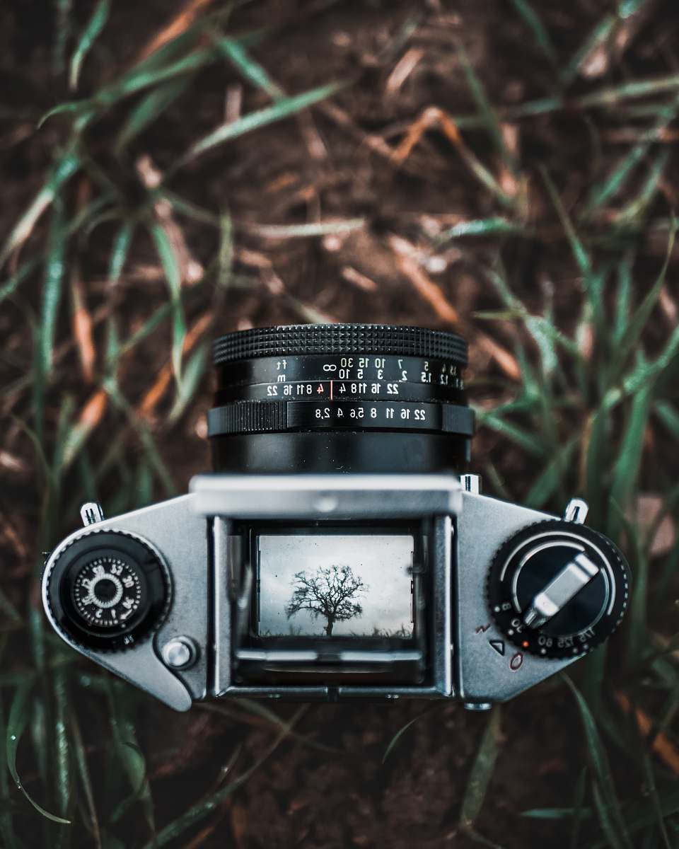 television shallow focus photography of black and gray DSLR camera monitor
