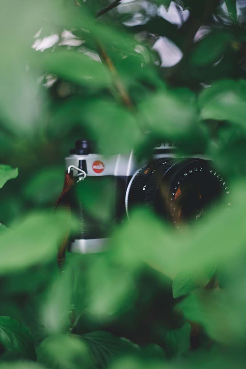 photo black and grey SLR camera photography