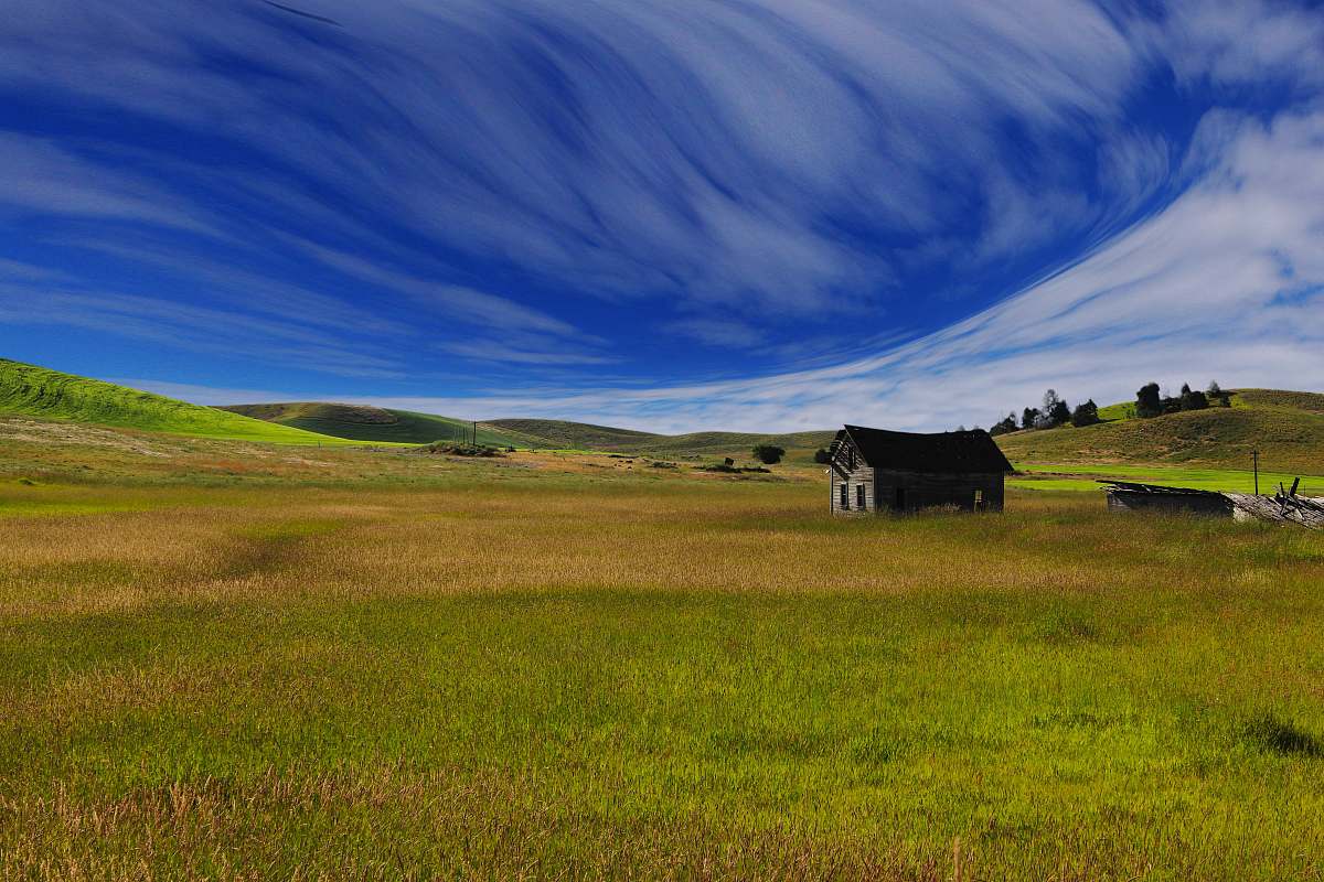 field house on green grass field pasture