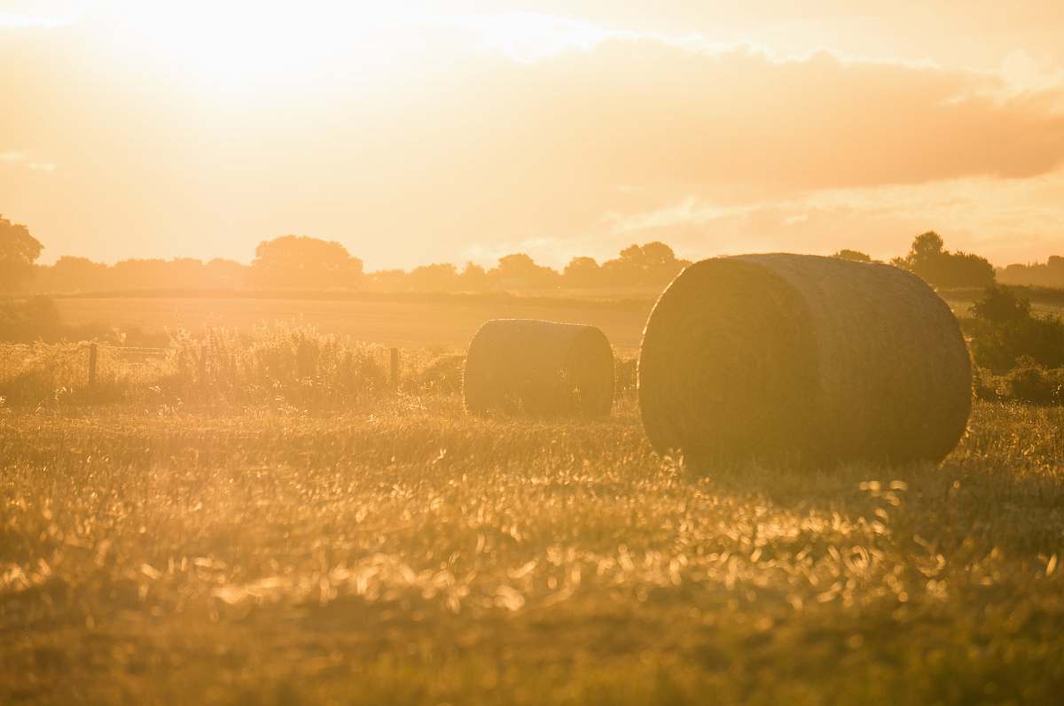 fields two rolled hay bales on grass field during golden hour didley