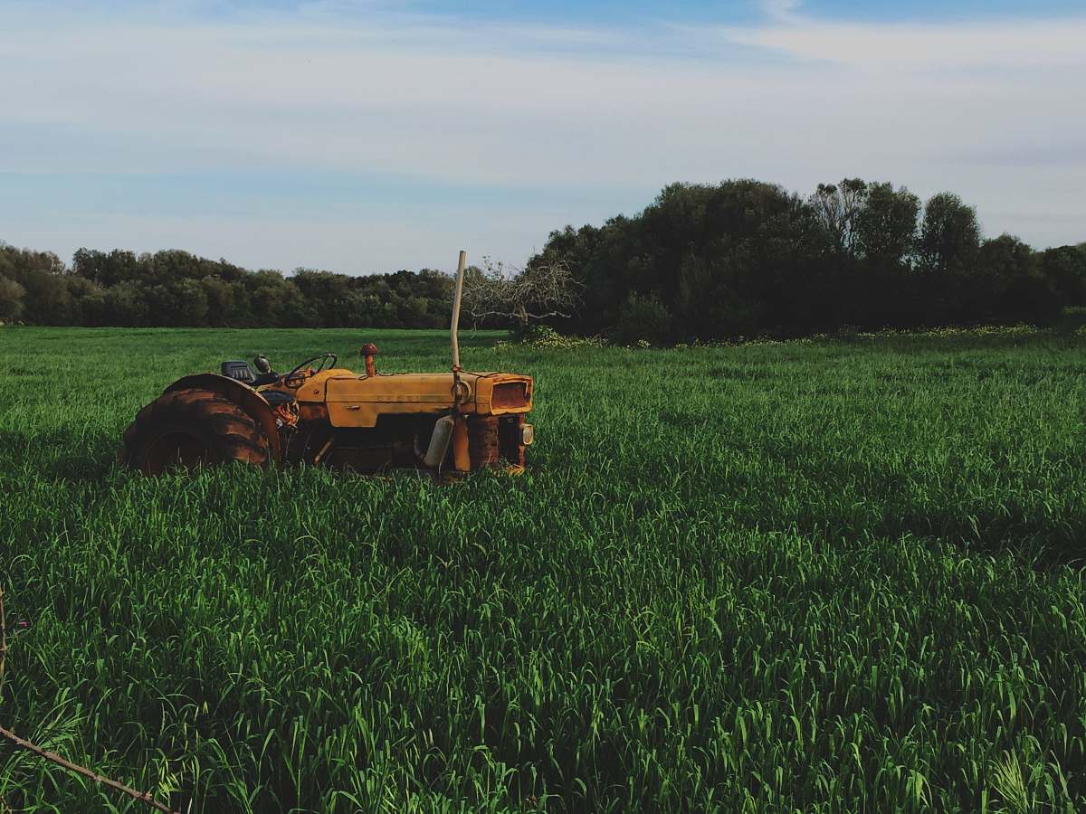 countryside yellow farm tractor on green grassfield field