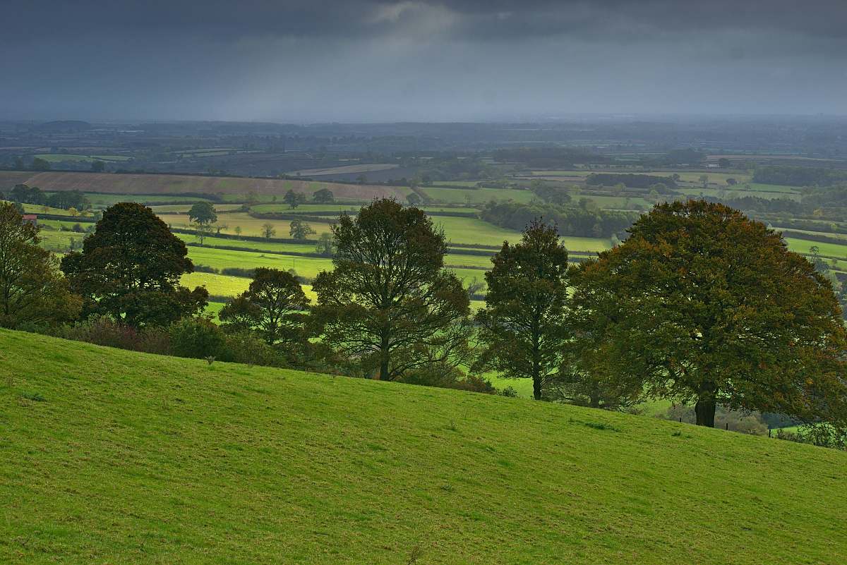 nature green trees and hill under heavy cloud grassland