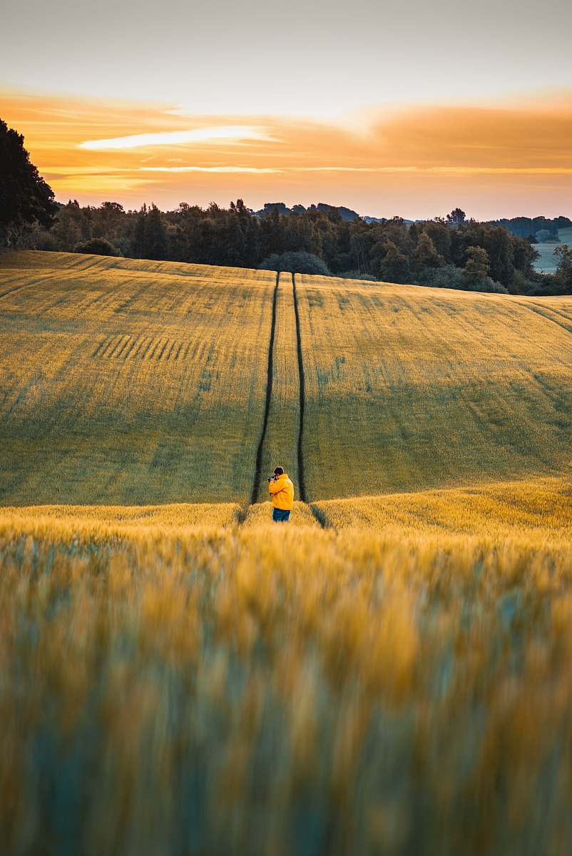 yellow selective focus photography of man standing on grass field boserup skov