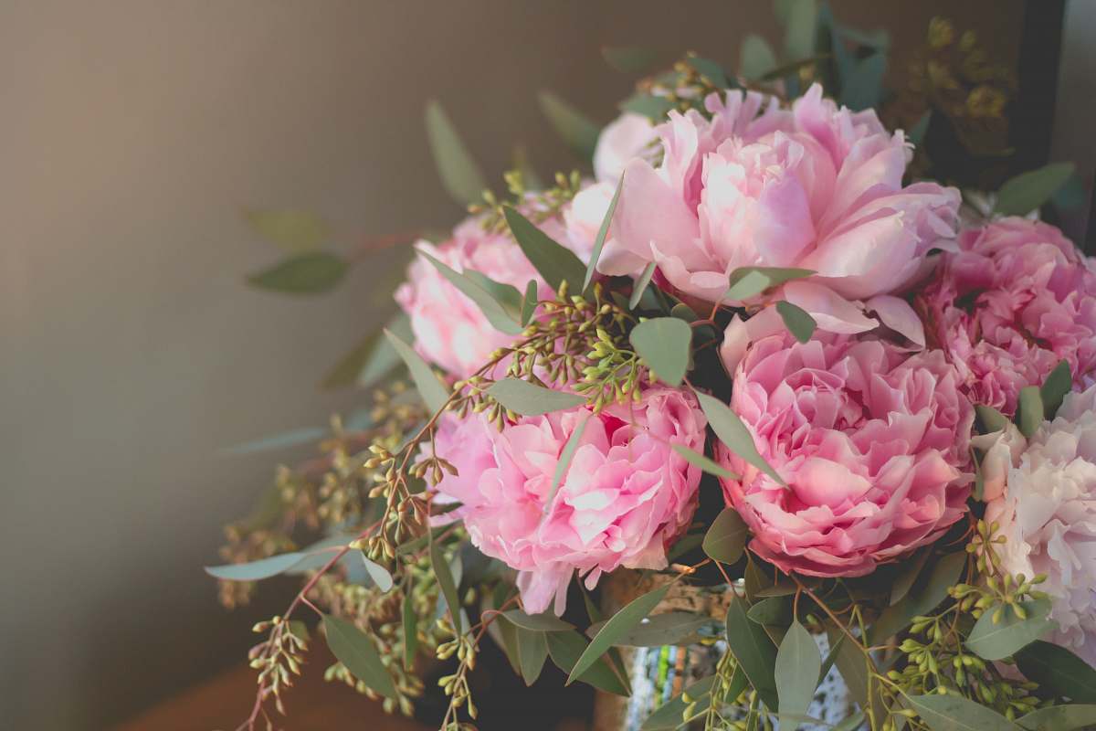 flora close-up photo of pink petaled flowers bouquet peony