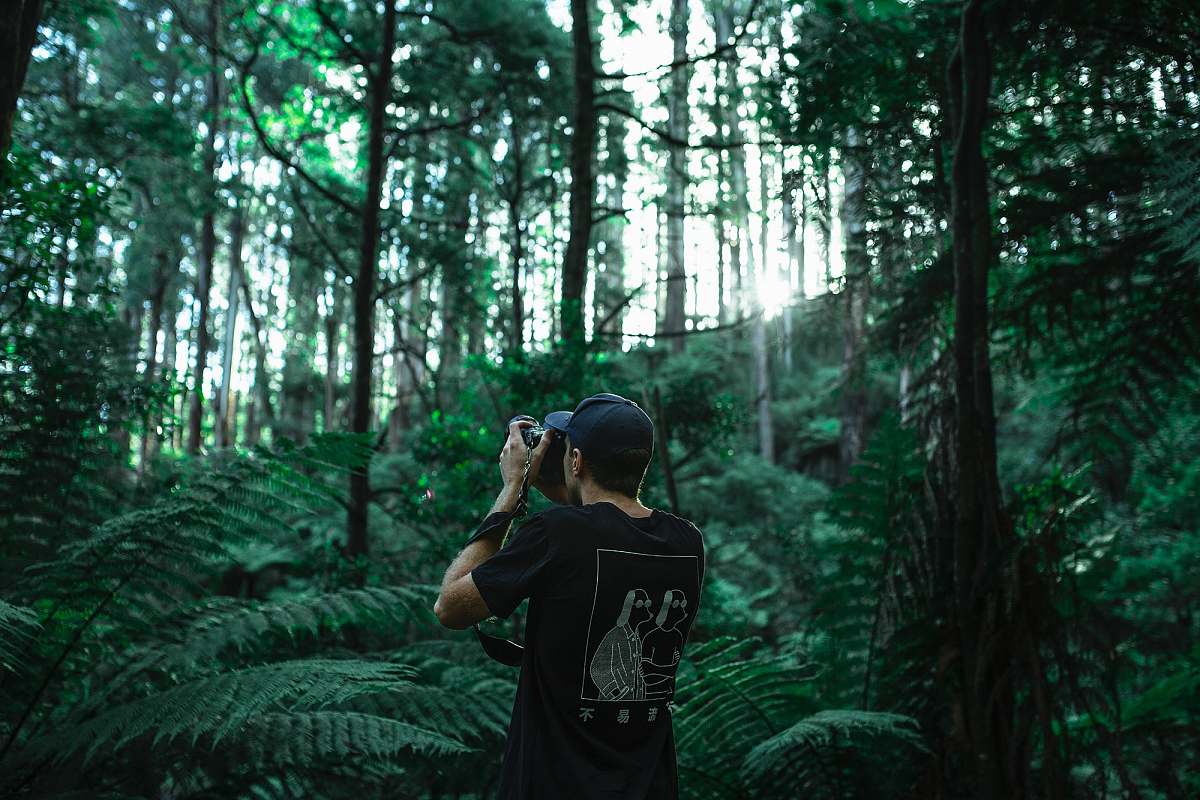 nature person taking photo using black camera under green leaf trees at daytime tree