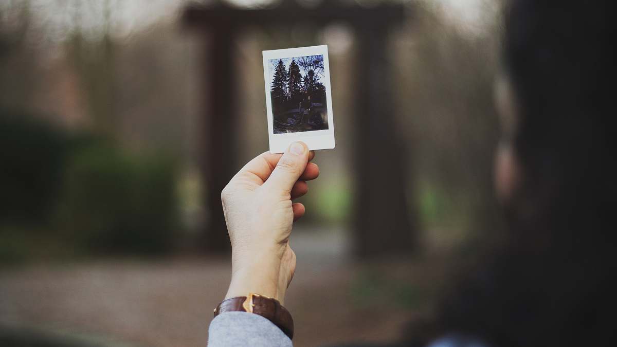 polaroid person holding photo of trees picture