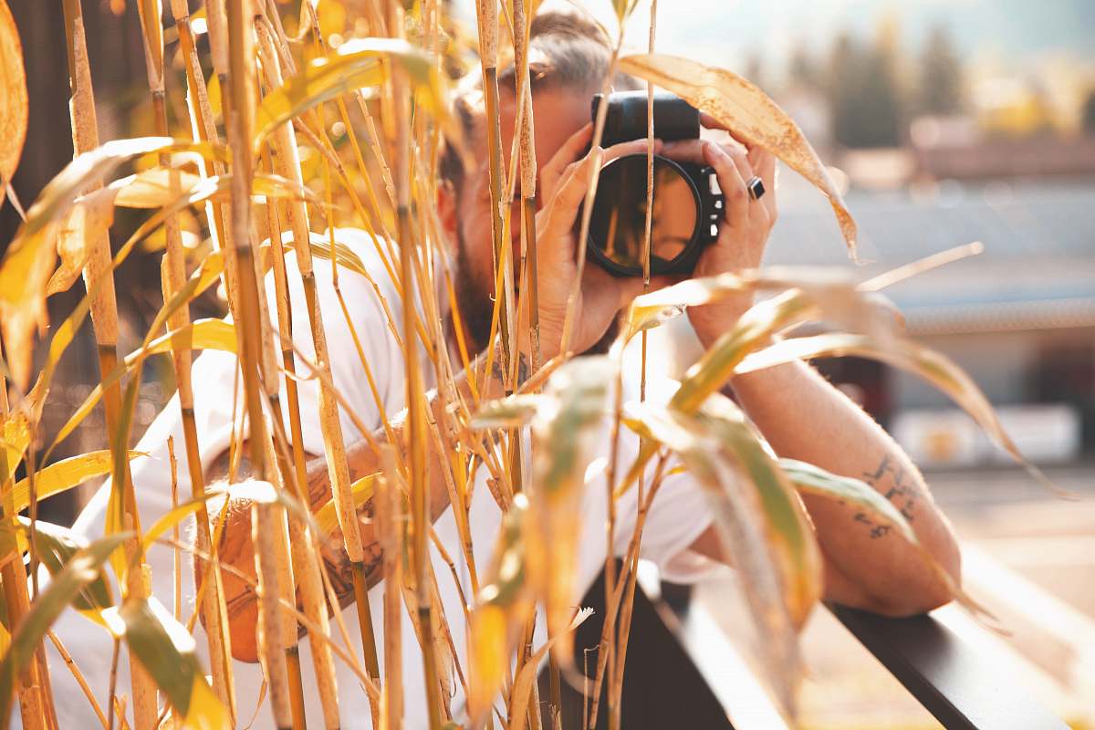 person man taking photo of bamboo plant photographer