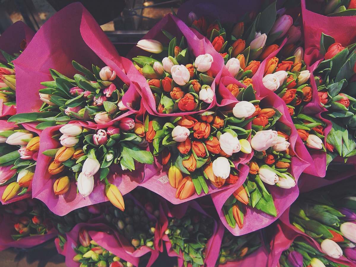 flower red, yellow, and white flowers bouquets tulip