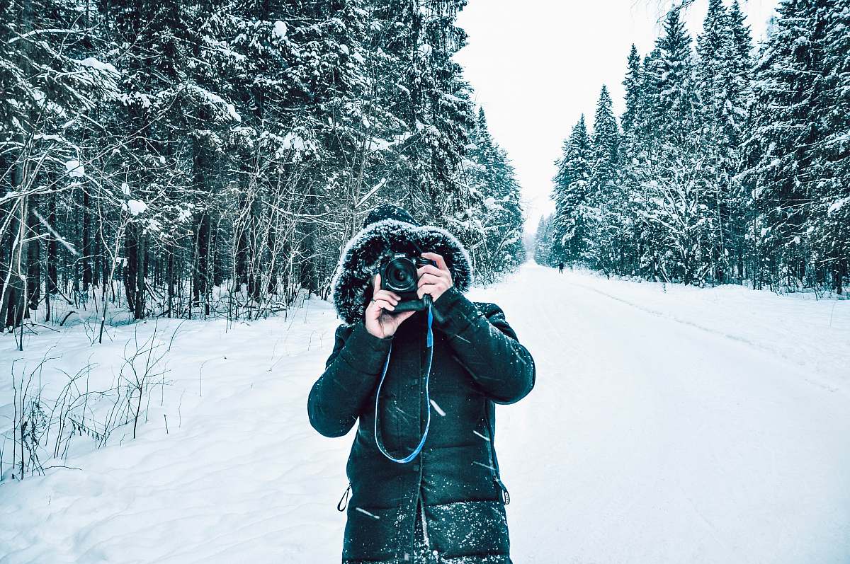 person snow covered pine trees photo