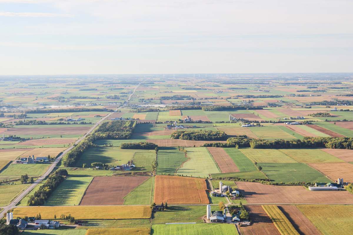field aerial photography of brown and green fileds landscape