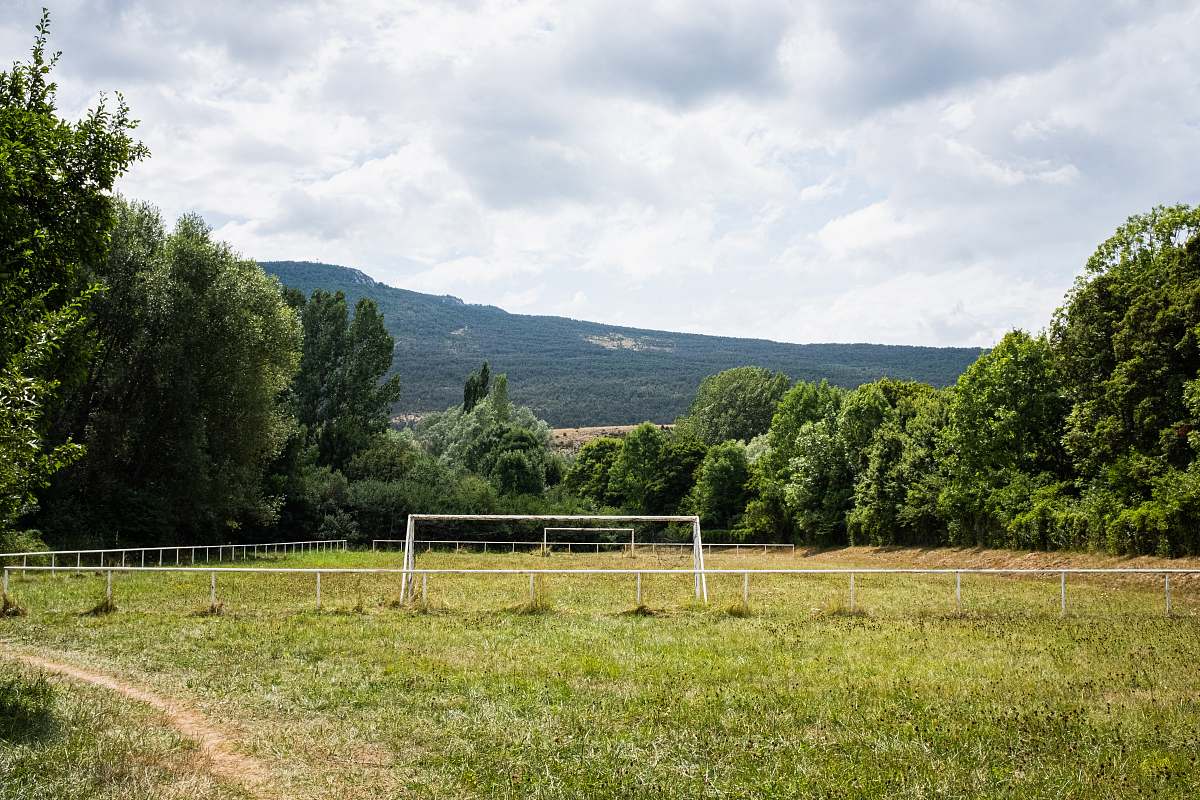 field green grass field grassland