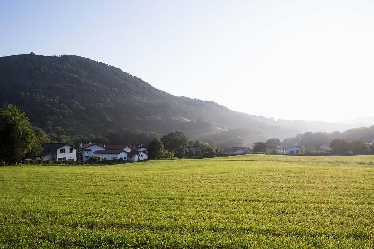 outdoors green grass field field