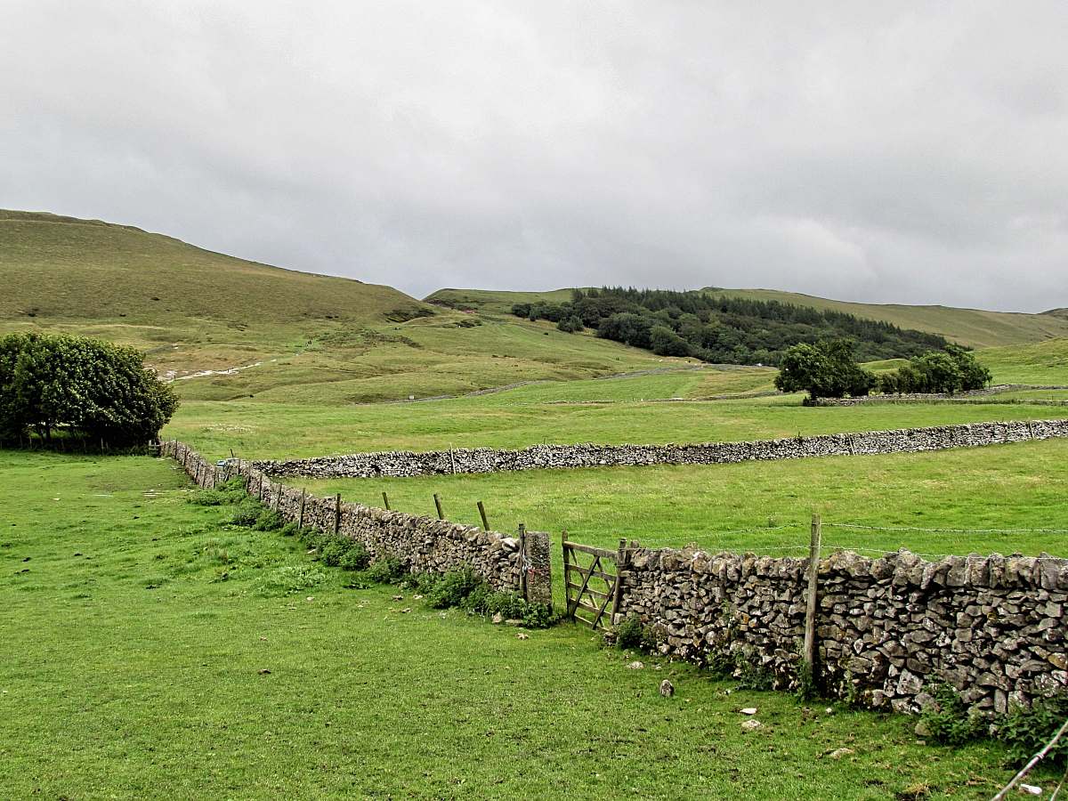 outdoors green grass field