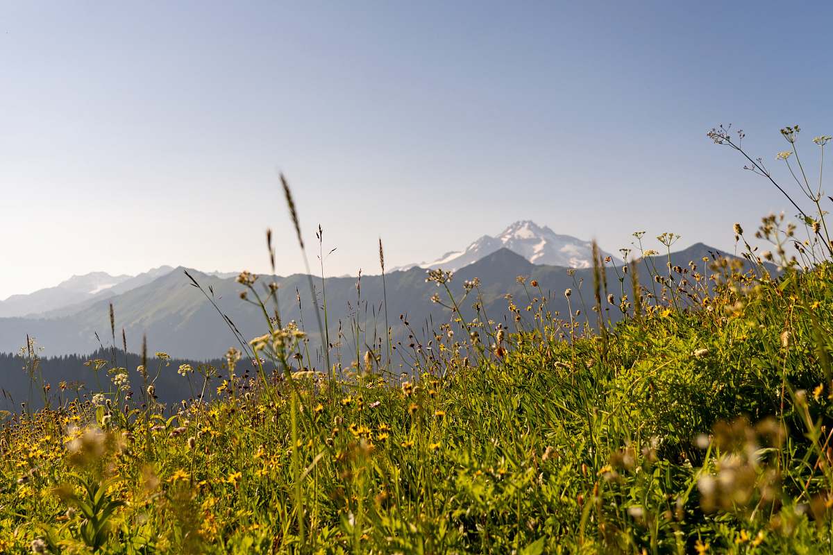 field landscape photo of black and gray mountains and green grass fields grassland