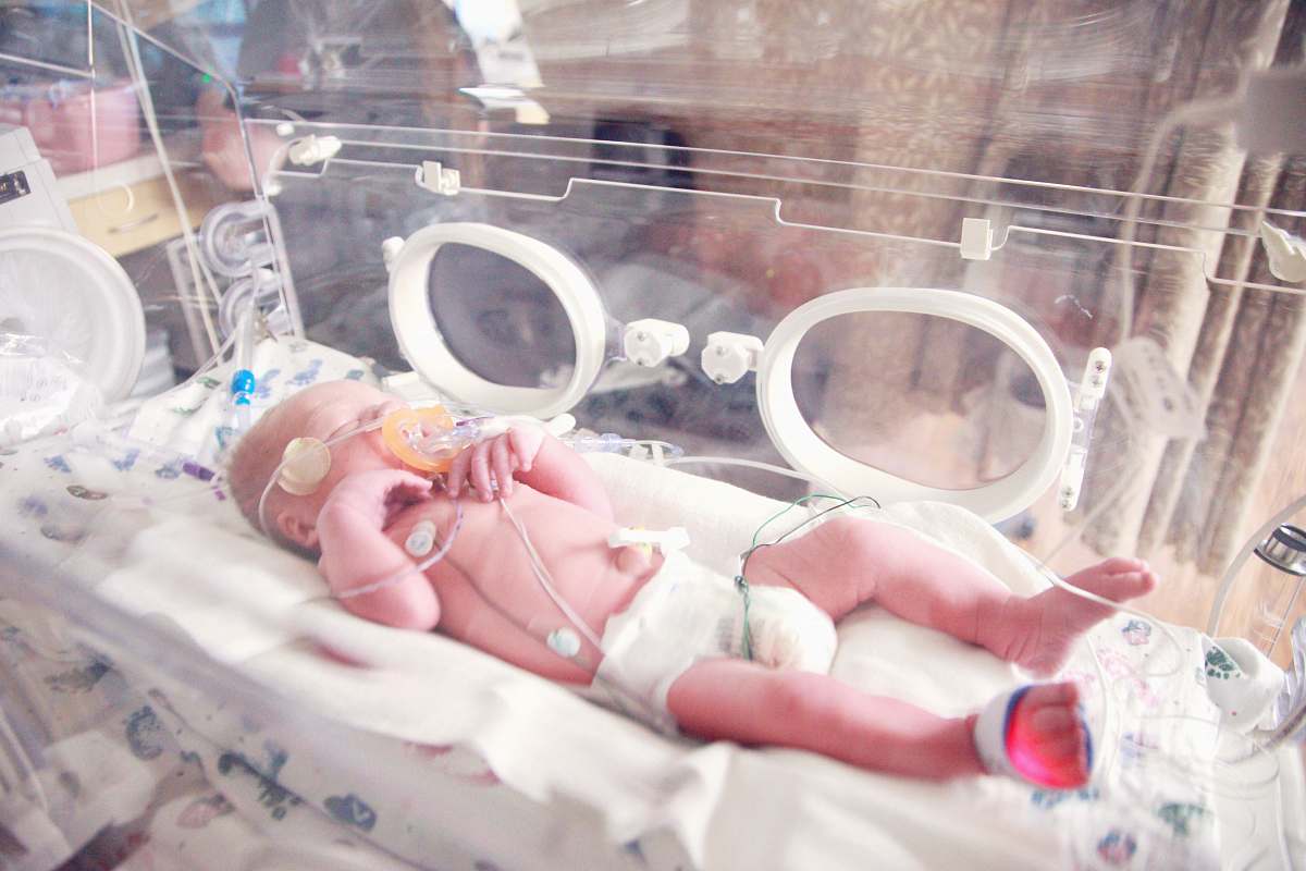 baby baby lying in incubator newborn