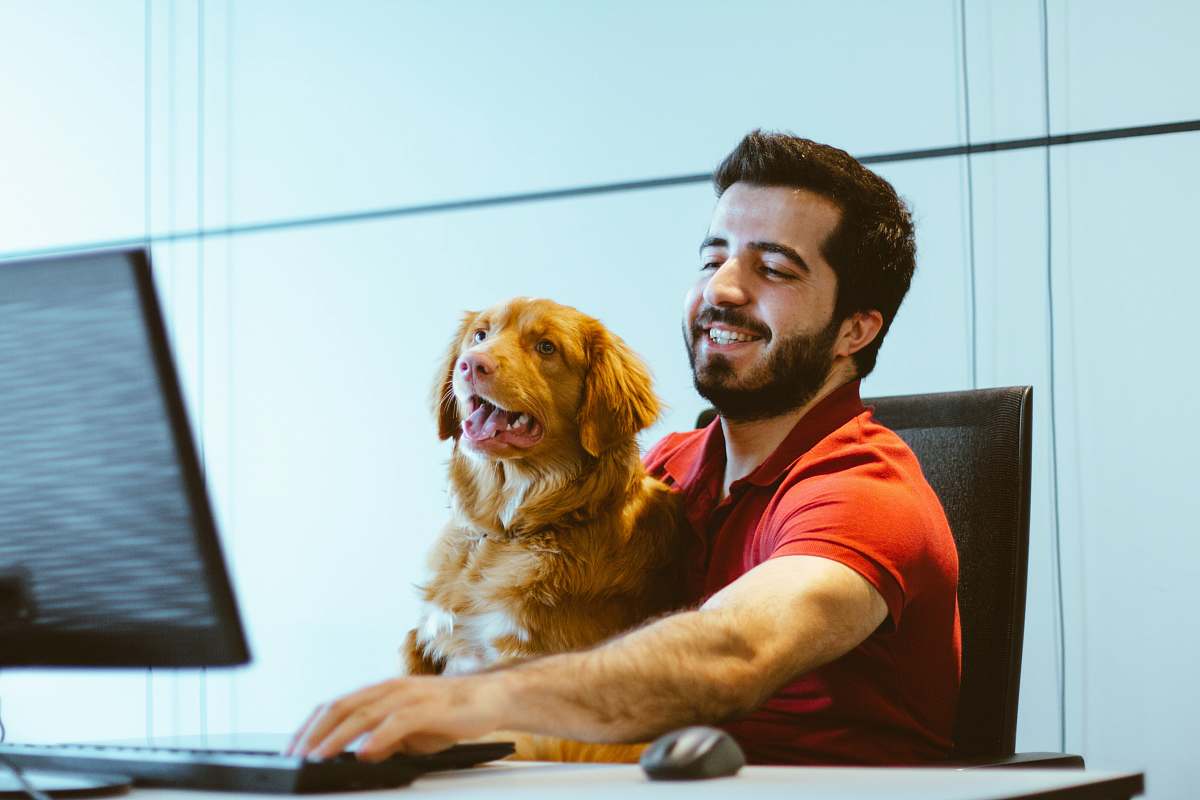 human dog sitting on man's lap while using computer furniture