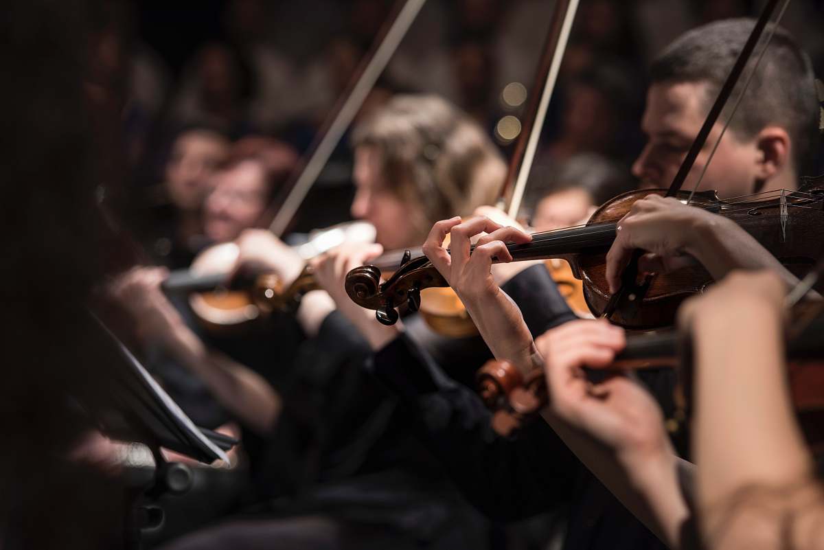 people people playing violin inside dim room music