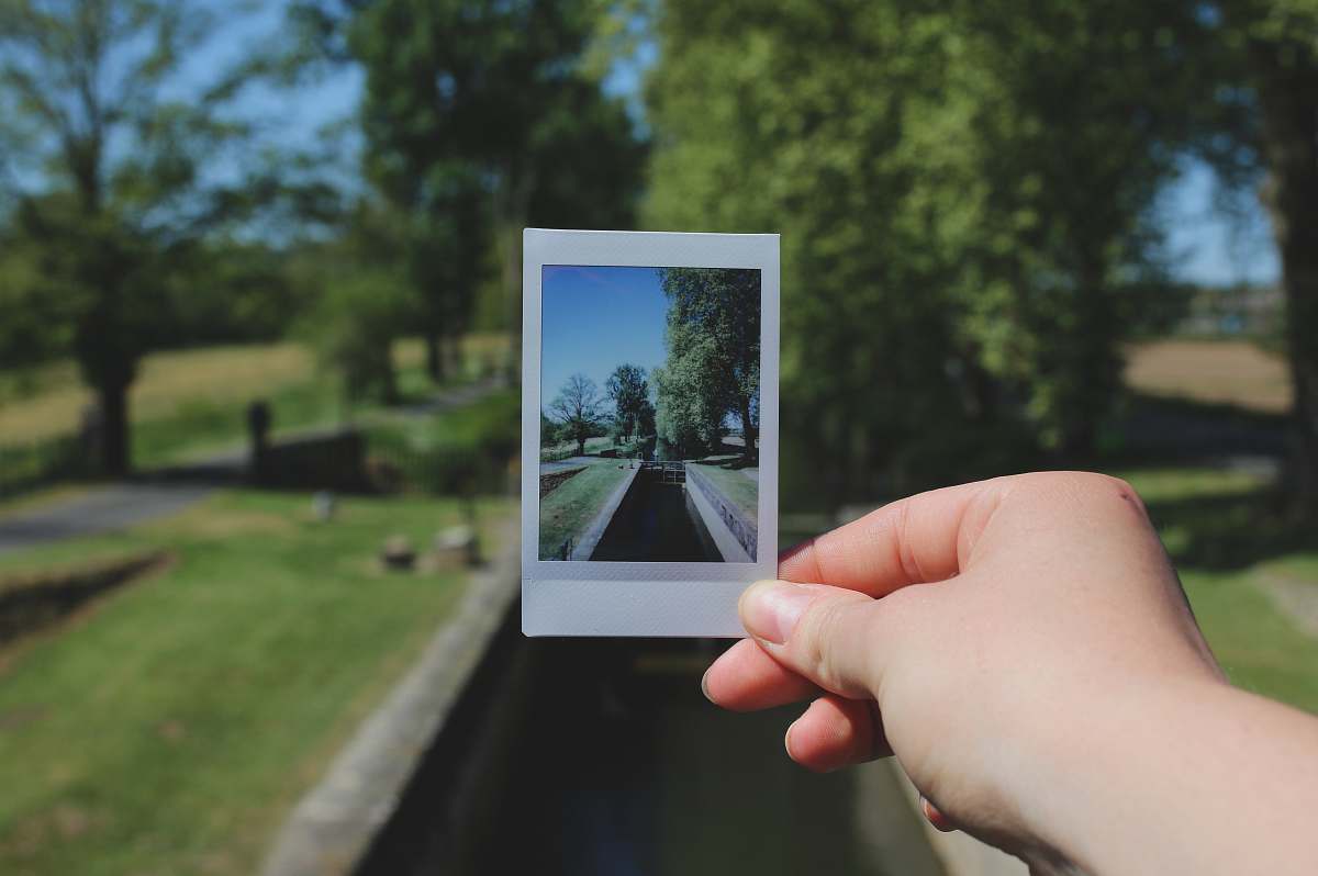 road person showing photo of trees during daytime computer