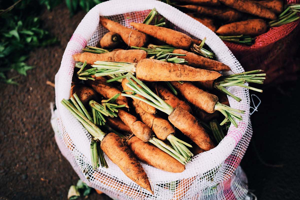 food ripe carrots inside white net sack farm