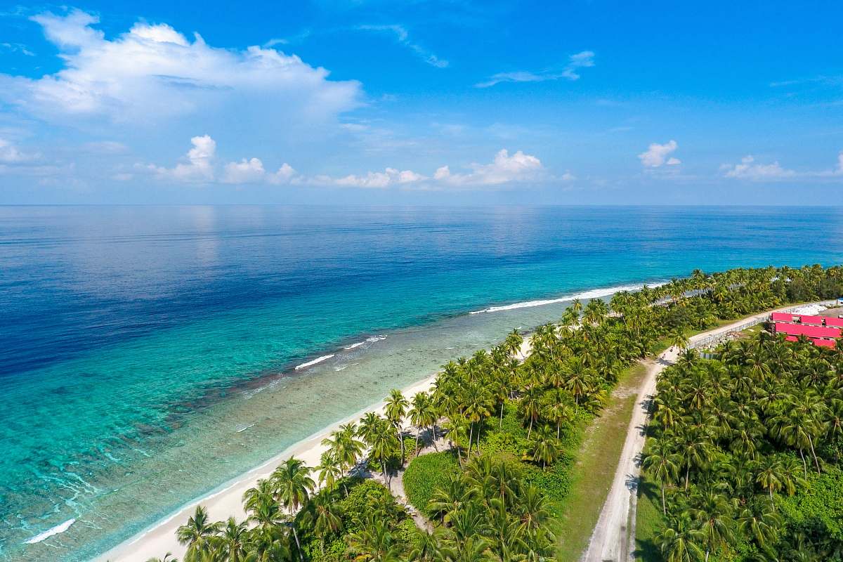 water aerial view of coconut trees by the beach sea