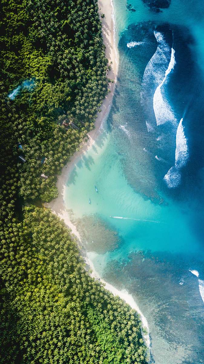 backgrounds body of water near trees at daytime wallpapers