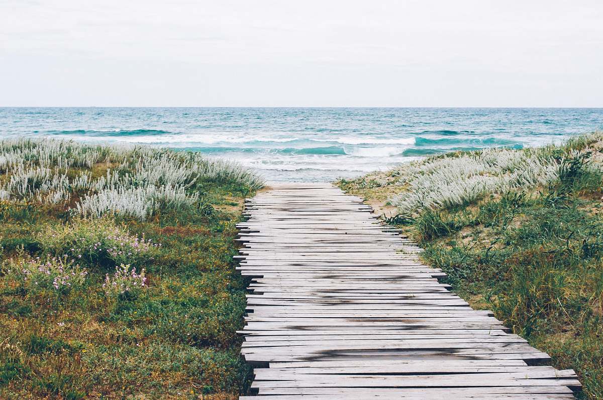 path brown wooden dock in fornt body of water sea