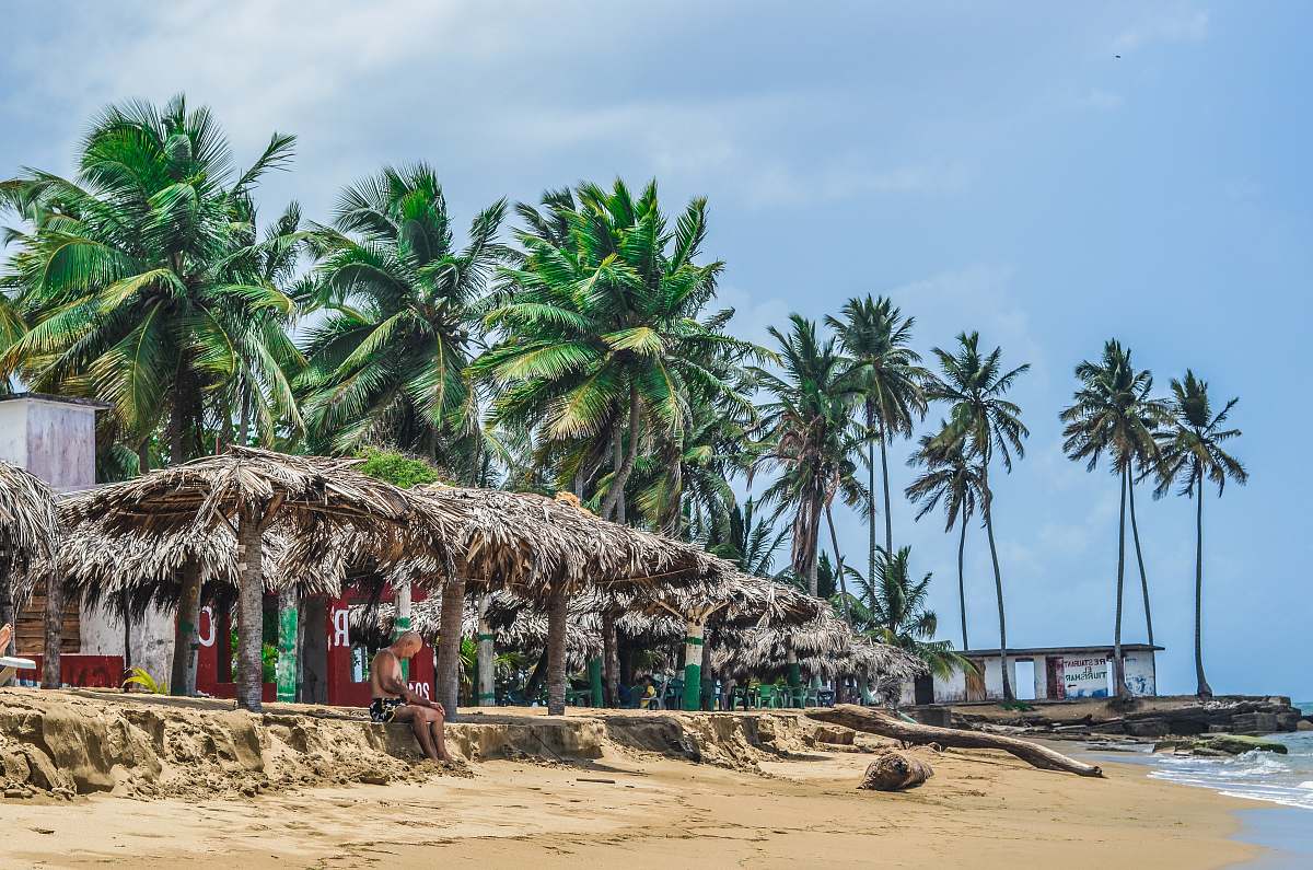 coast person sitting under brown huts near seashore at daytime tree