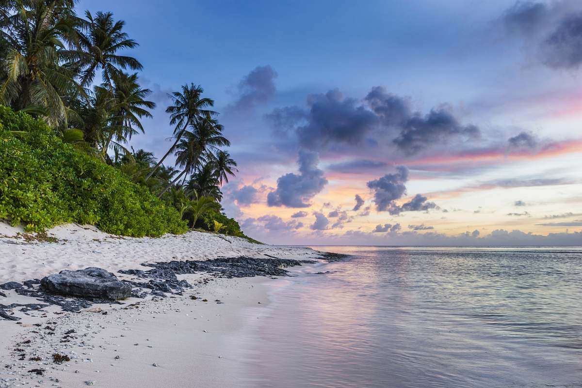 nature seashore scenery ocean