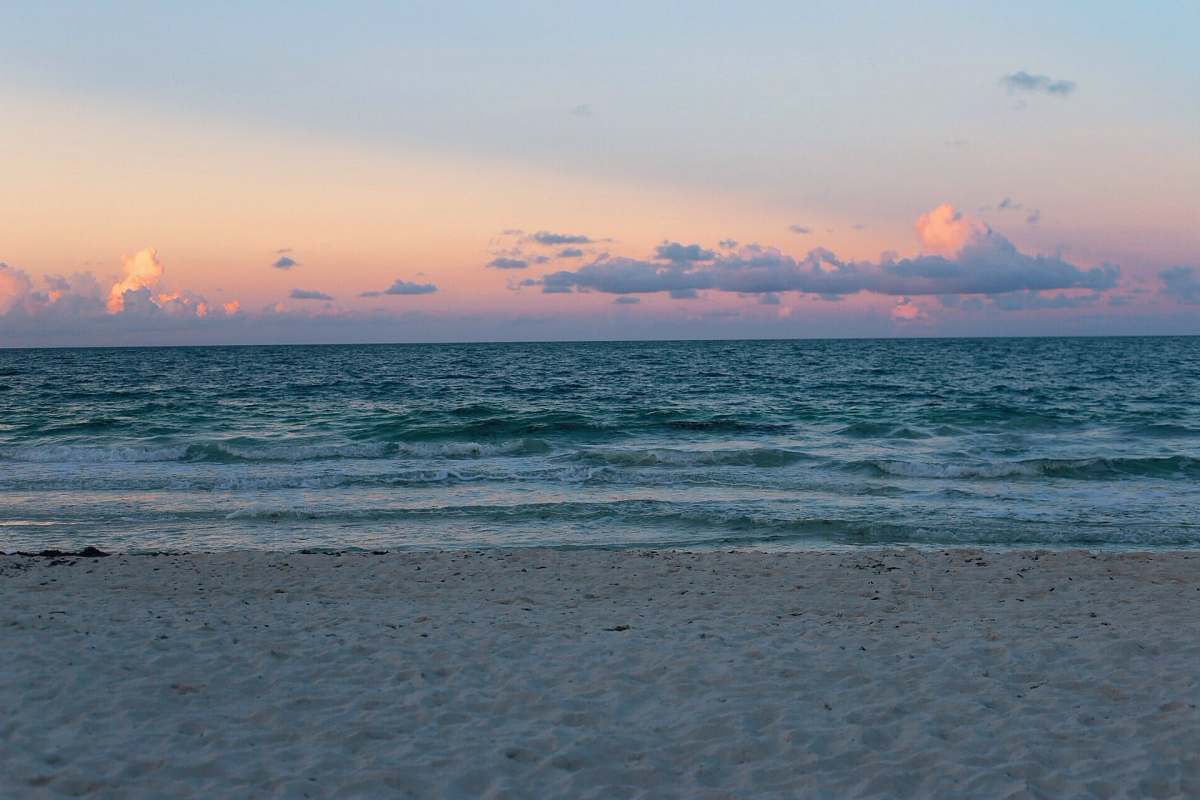 sea seashore with sea during golden hour ocean