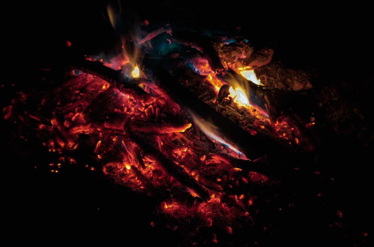 fire close-up photography of bonfire camping