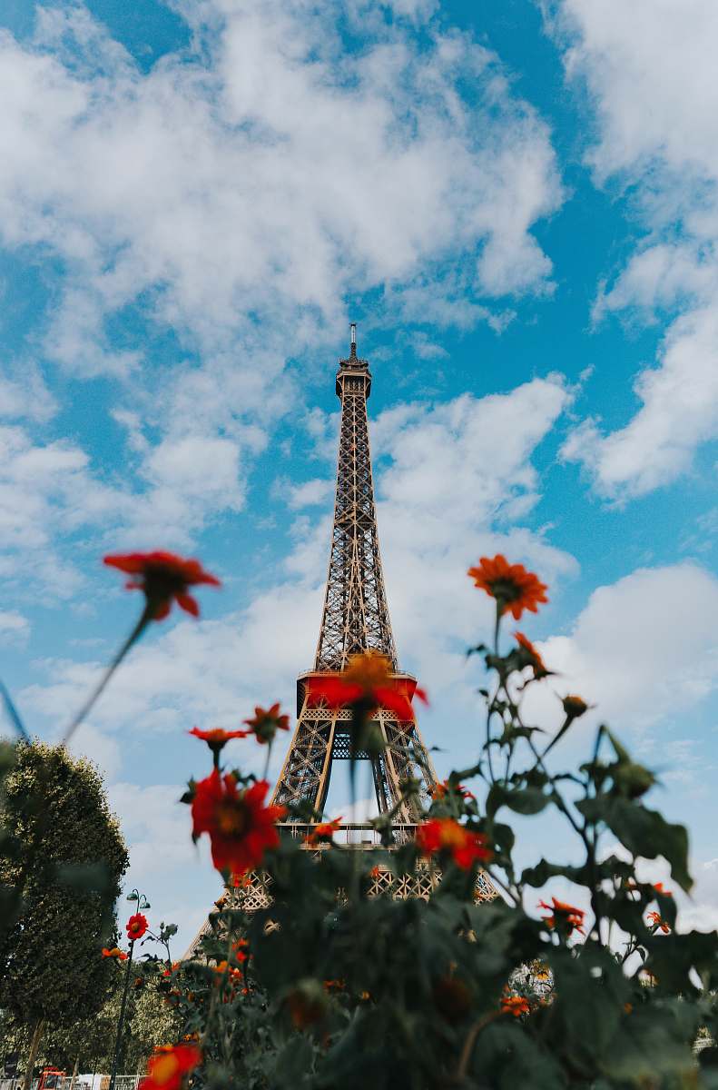 tower tilt shift photography of red flowers and Eiffel Tower tour eiffel