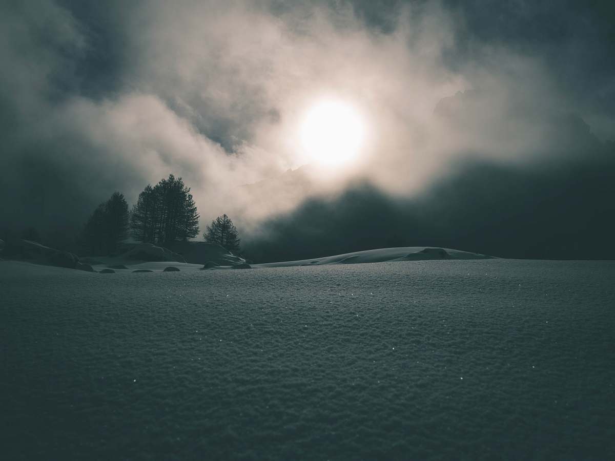 outdoors green trees under white clouds land