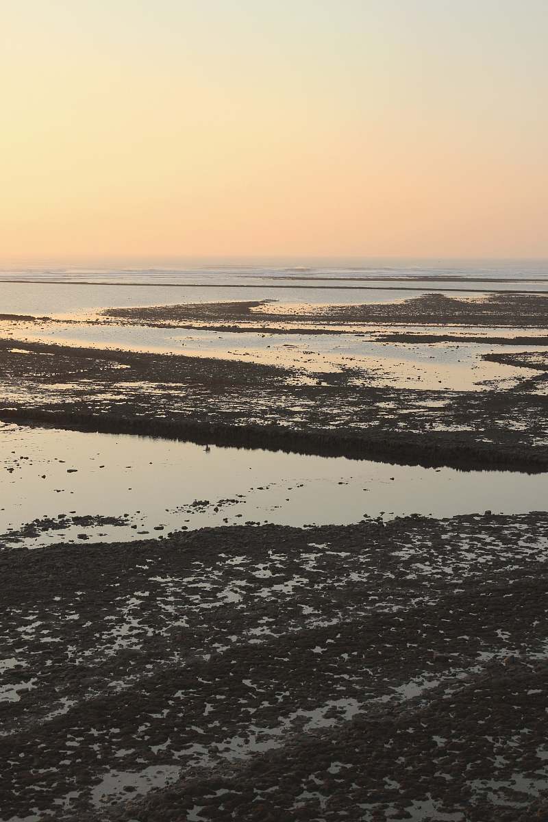 outdoors view of low tide body of water during golden hour france
