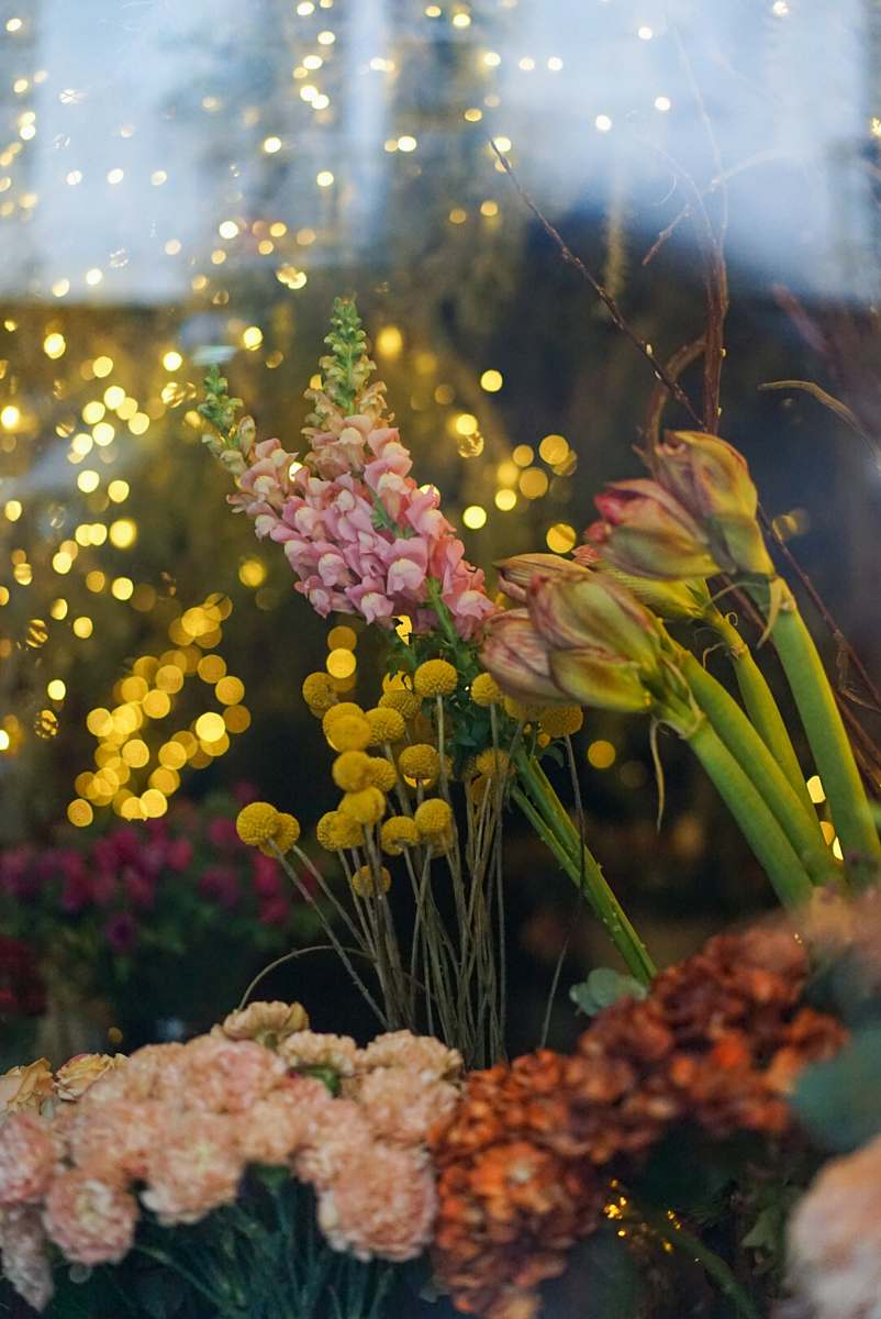 flower yellow flowers blossom