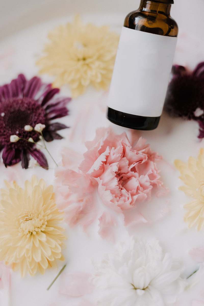 plant white and brown glass bottle blossom