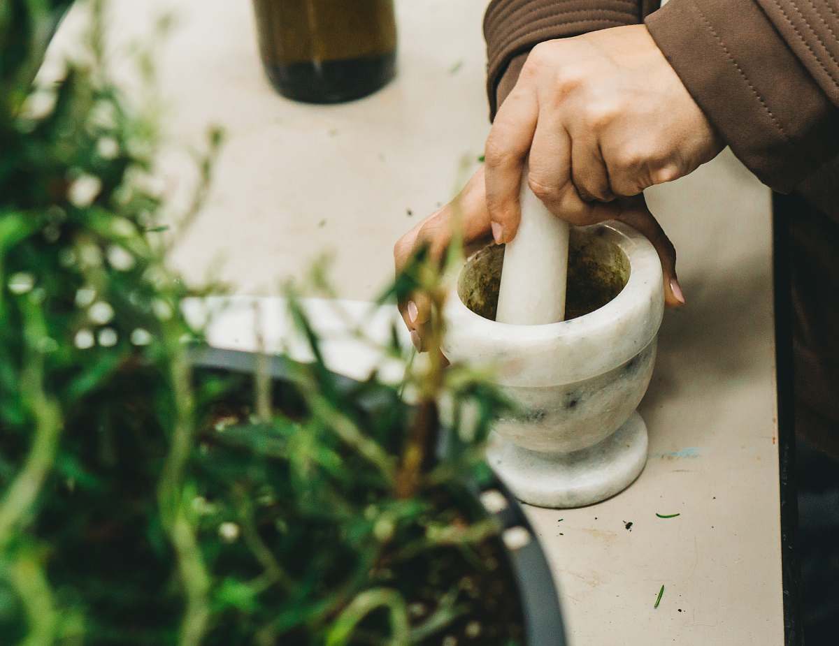 human mortar and pestle on white surface plant