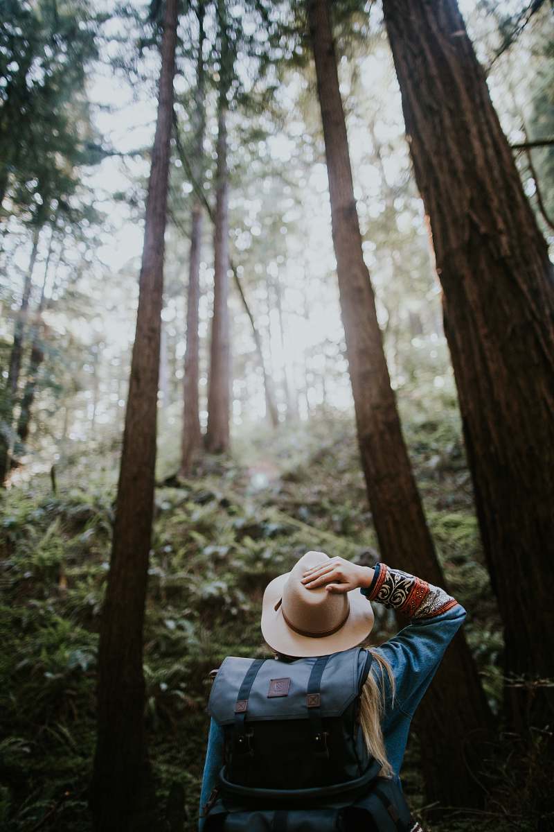 nature person wearing brown hat in forest jar