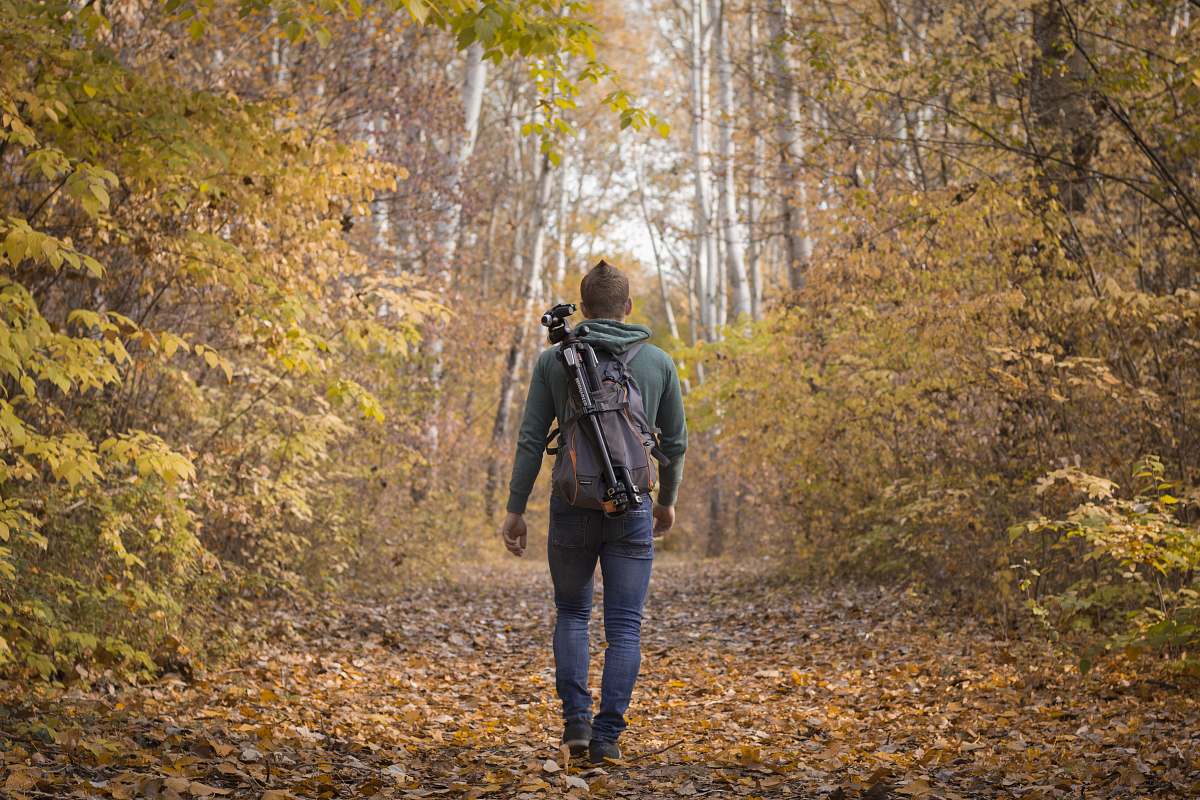 person man waling beside trees with backpack kecskemét