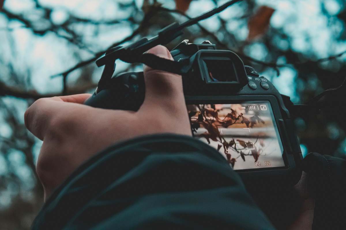 person person using DSLR camera photo