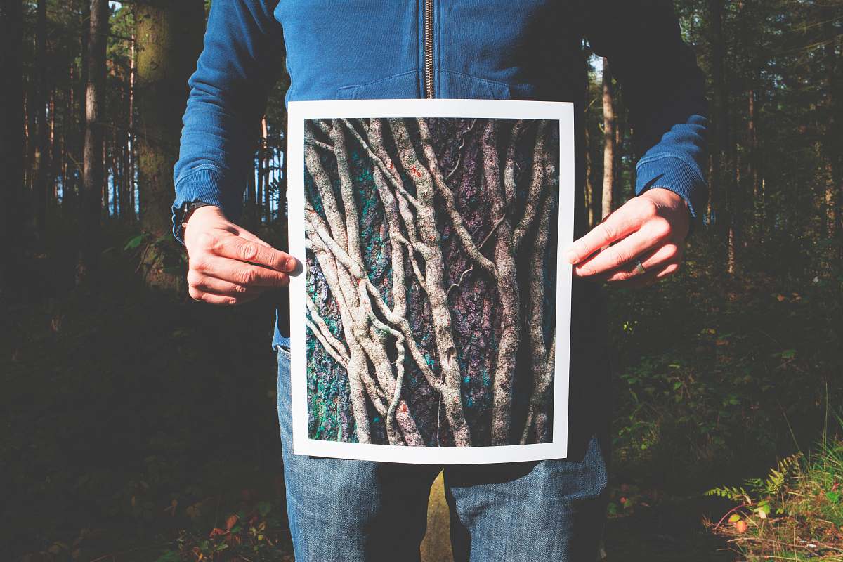 trees person holding photo of roots human