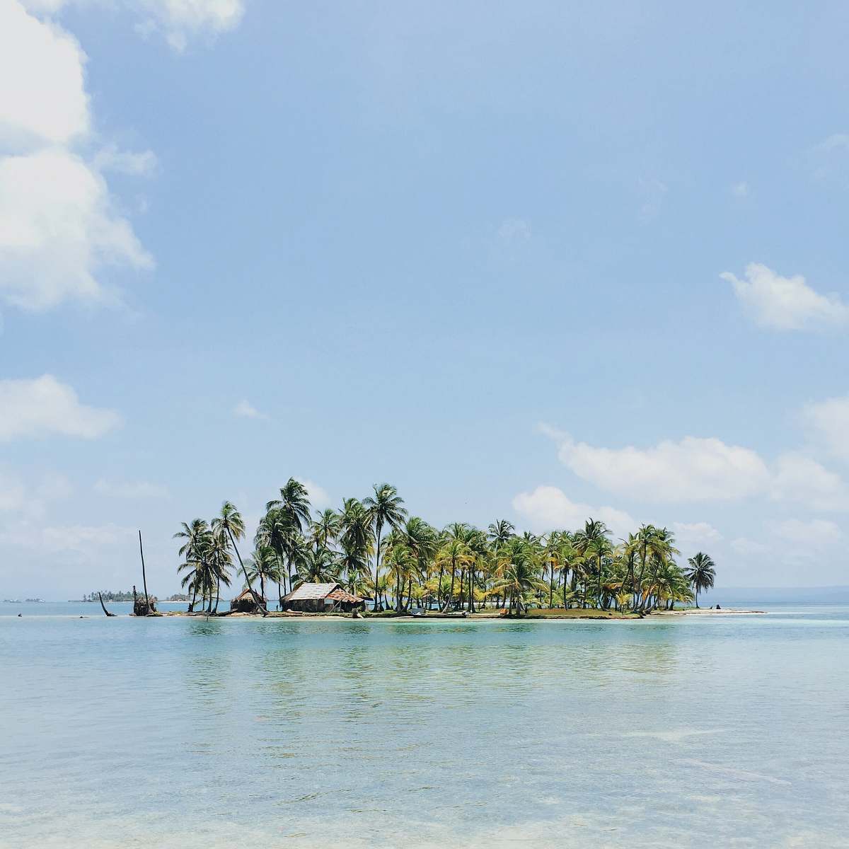 sea house near surrounded by coconut tree island