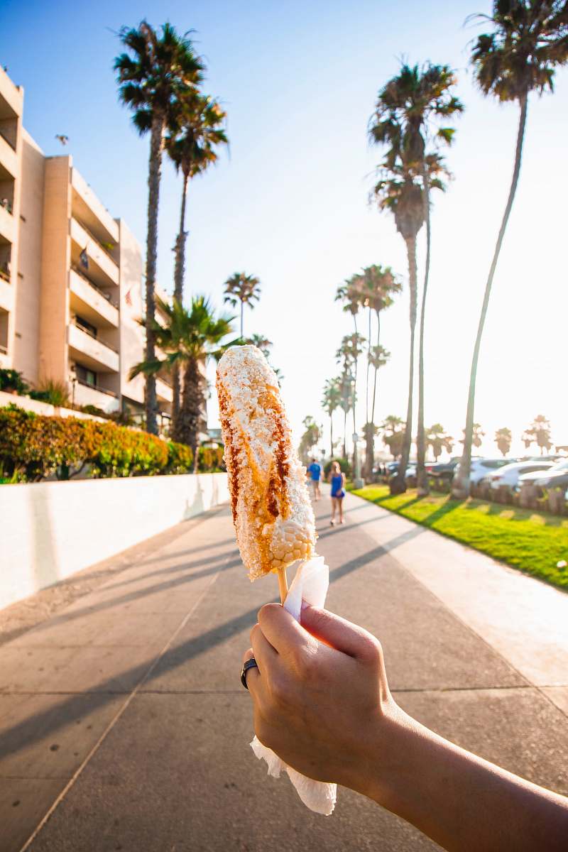 housing person holding corn tree