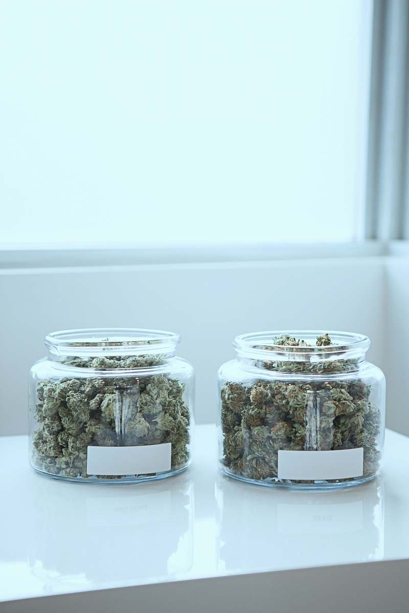 weed full of kush in clear glass jars on table jar