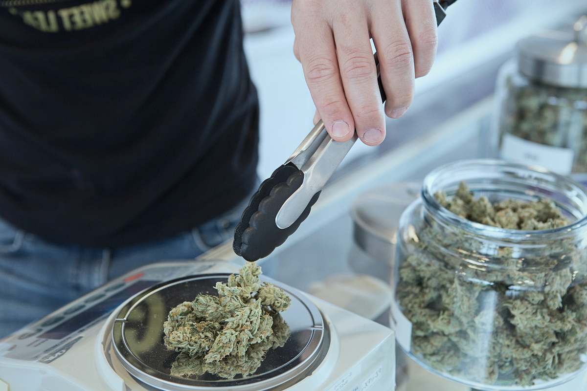 human person holding grey tongs and kush person