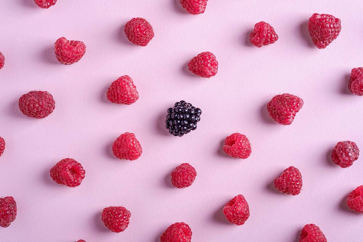 fruit black berry fruit raspberry