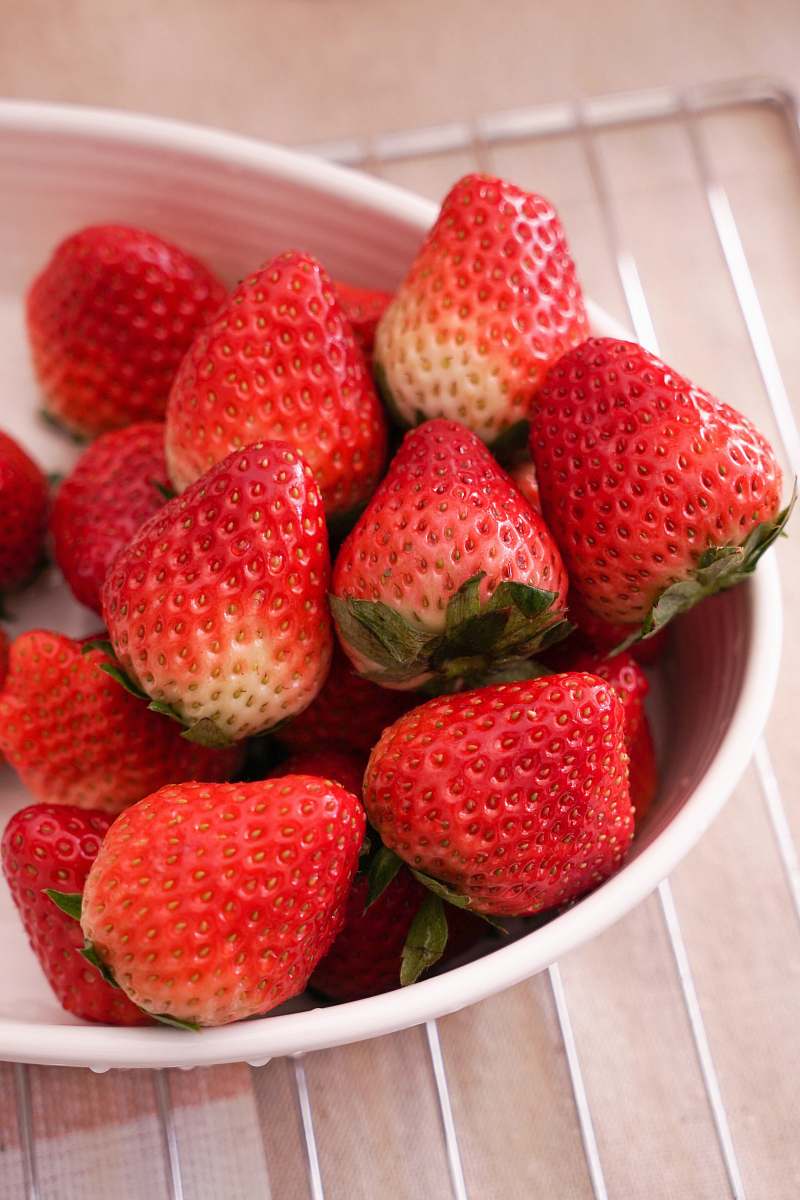 plant shallow focus photo of red strawberries in white ceramic strawberry