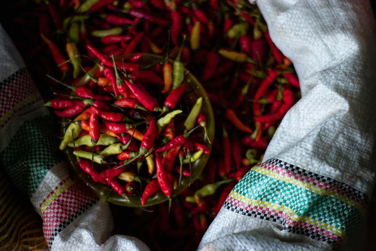 clothing sack of chili apparel